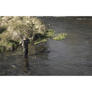 Discovery Fly rod and Blanks