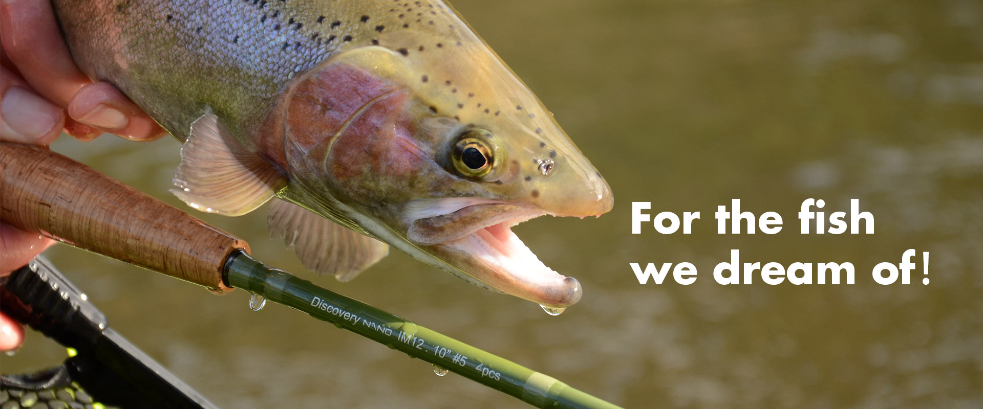 For the fish we dream of！