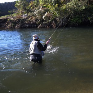 fly rod Discovery 9’0″#5 4pc