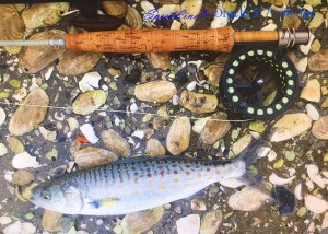 Speedline Oracle 5’7″#0 3pc fly rod