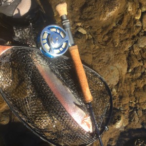 River to Reef series