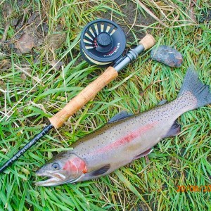 RiverTongariro 9’6″ #8 4pc