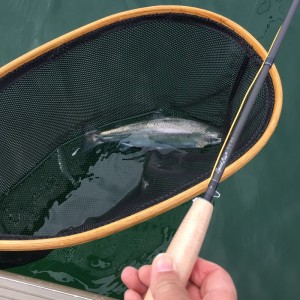 Paladin 9’0″#5 6pc traveller fly rod